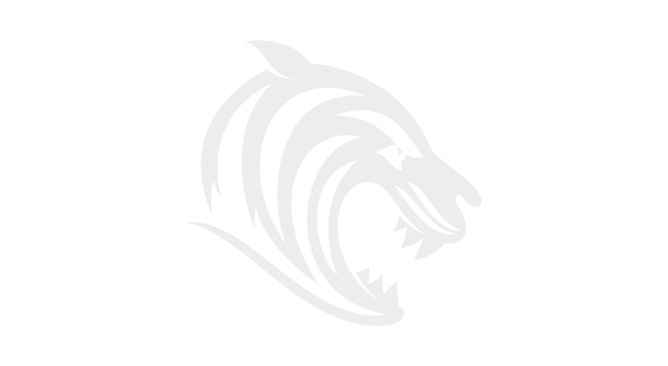 Tiger Background V2