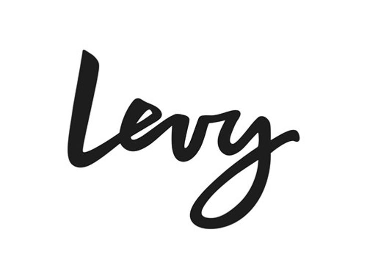 Levy Logo 01 1
